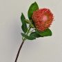 Flor falsa protea TANJA, rojo-naranja, 65cm