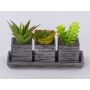 Arreglo de suculentas artificiales SYLVIA en maceta decorativa, verde, 19x7,5x11cm