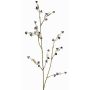 Stirlingia latifolia artificial COLLAN, negro-blanco, 75cm, Ø1cm