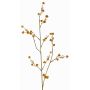 Stirlingia latifolia artificial COLLAN, naranja-verde, 75cm, Ø1cm