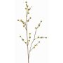 Stirlingia latifolia artificial COLLAN, amarillo-verde, 75cm, Ø1cm