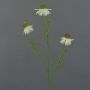 Echinacea artificial CELIO, crema, 60cm, Ø6cm