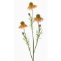 Echinacea artificial CELIO, albaricoque, 70cm, Ø6-7cm