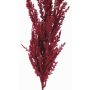 Rama artificial de hierba de la pampa THEMBA, rojo burdeos, 115cm