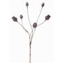 Cápsulas de amapola artificial ASUMAN, marrón oscuro, 70cm, Ø2-3cm