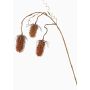 Cardo silvestre artificial LORCAN, marrón-rojo, 90cm, Ø6-8cm