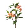 Rama decorativa frangipani DRIFEN, amarillo-rosa, 110 cm