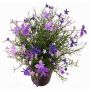 Flor decorativa impatiens GISINDA en maceta decorativa, lila-lila claro, 25cm