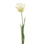 Tulipán decorativo tipo loro LUNIA, blanco-verde, 70cm