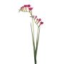 Rama artificial de fresia SVERINA, rosa, 80 cm
