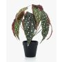 Begonia maculata artificial ELISEIA, verde-blanco, 30cm