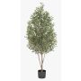 Olivo decorativo DEACON, tronco real, con frutos, 170cm