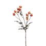Rama de rosa silvestre artificial ARANKA con frutos, naranja, 65cm