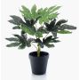 Aralia artificial TEULADA, verde, 30cm