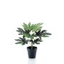 Aralia artificial TEULADA, verde, 30cm