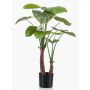 Alocasia calidora de plástico XABIA, verde, 110cm