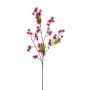 Rama falsa de ricino GROBAS con flores, rojo, 80cm