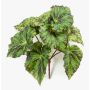 Begonia rex artificial MEIRA en varilla de ajuste, verde-negro, 25cm