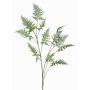 Rama falsa de asparagus plumosus FAYNA, 135cm