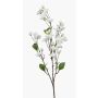 Rama falsa de cerezo de flor japonés AKEMI con flores, blanco, 90cm