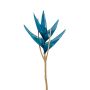 Heliconia decorativa MOLOKAI, azul, 80cm