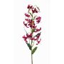 Lirio de tigre artificial ARAMAIO, rojo burdeos, 80cm