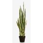 Sansevieria artificial ELENE, verde-amarillo, 95cm