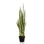 Sansevieria artificial ELENE, verde-amarillo, 95cm