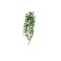 Hypoestes phyllostachya artificial ALANGE en varilla de ajuste, verde-blanco, 90cm