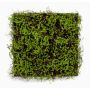 Estera de musgo artificial MIRANDILA, verde, 50x50cm