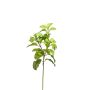 Rama de menta artificial OBANDO, verde, 30cm