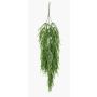 Planta colgante de rhipsalis falso TALIGA en varilla de ajuste, verde, 80cm