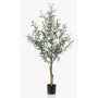 Olivo decorativo CLAYTON, tronco artificial, con frutos, 115cm