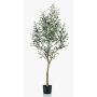Olivo decorativo CLAYTON, tronco artificial, con frutos, 140cm