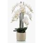 Orquídea phalaenopsis artificial CECILE, maceta de cerámica, blanco, 100cm