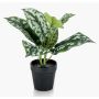 Pothos artificial OBASI, verde-blanco, 25cm