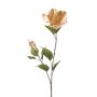 Rama decorativa de hibisco ANUERO, flores, beige-oro, 80cm