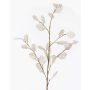 Rama de lunaria artificial BUELNA, crema, 105cm