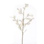 Rama de lunaria artificial BUELNA, crema, 105cm
