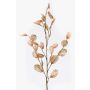 Rama de lunaria artificial BUELNA, marrón claro, 105cm