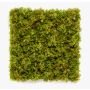 Estera de musgo islandés decorativo BEAS, zona resguardada, difícilmente inflamable, 50x50cm