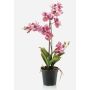 Orquídea vanda artificial CAMPO, rosa-fucsia, 60cm