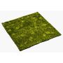 Estera de musgo hypnum artificial FERMIN, verde, 100x100cm