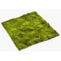 Estera de musgo sphagnum artificial FERMIN, verde, 100x100cm