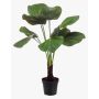 Palmera licuala artificial BERANT, 130cm