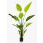 Strelitzia artificial BEDAR, verde, 150cm