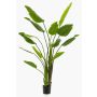 Strelitzia artificial BEDAR, verde, 180cm