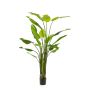 Strelitzia artificial BEDAR, verde, 235cm