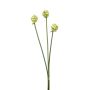 Atado de flores de allium artificial LAMDA, verde crema, 65cm