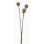 Atado de flores de allium artificial LAMDA, verde-violeta, 65cm